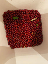 Chokecherry (Wildcrafted) Organic