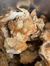 Chicken of the Woods Mushroom Supplement Powder