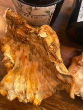 Chicken of the Woods Mushroom Supplement Powder