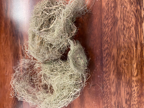 Usnea Lichen (Wildcrafted) Organic