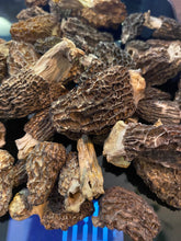 Dried Morel Mushrooms wild Harvested