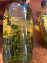 Oregano Oil