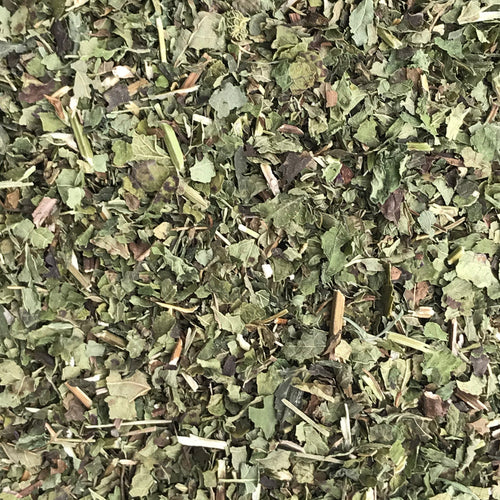 Organic Lemon Balm
