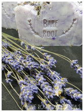 French Lavender Shea Butter Soap