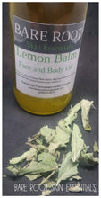 Lemon Balm Face and Body Oil, Lemon Balm Infused Sunflower Oil, Massage, Oil Cleansing