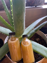 Aloe and Herbs Organic Shampoo